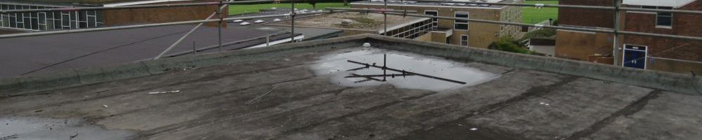 dakreparatie plat dak in Duiven